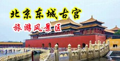 强奸美女哦哦不要爆操中国北京-东城古宫旅游风景区